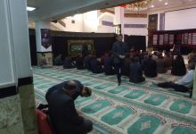 گزارش تصویری پایز جنگل ابر شاهرود